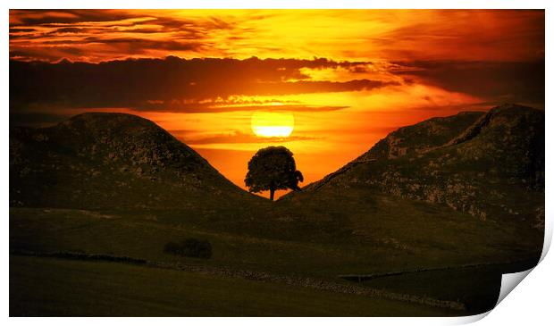 sunset behind the silhouette of Sycamore Gap Print by Guido Parmiggiani