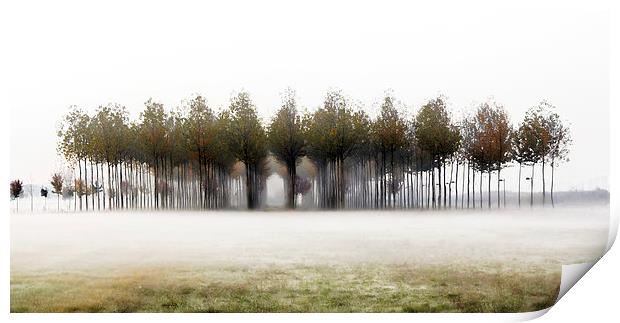 A foggy winter morning  Print by Guido Parmiggiani