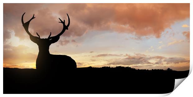 Silhouette of a young deer in the forest at sunset Print by Guido Parmiggiani