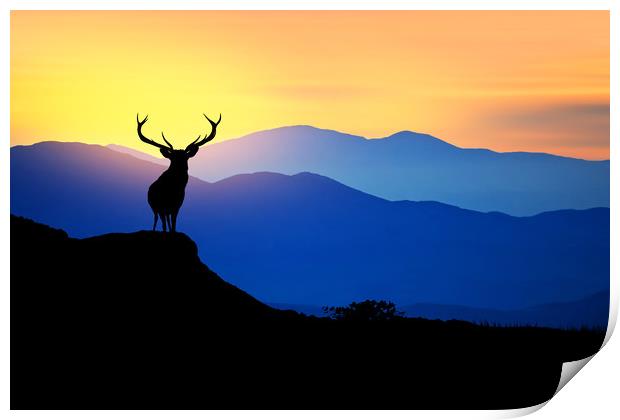 deer at sunset  Print by Guido Parmiggiani