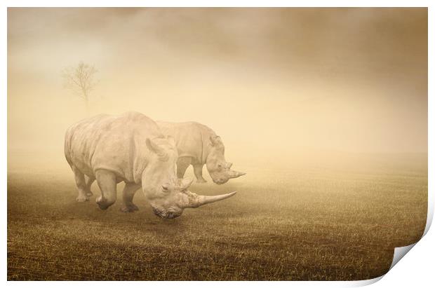 two rhinos grazing on a foggy morning Print by Guido Parmiggiani