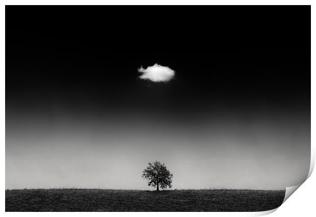 One day a cloud meets a oak tree, so strong friend Print by Guido Parmiggiani