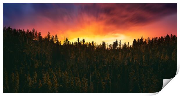 sunset over the forest  Print by Guido Parmiggiani
