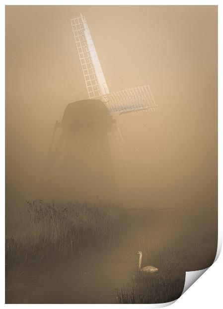 Mill and Swan Print by Keith Naylor