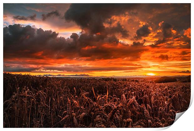  Red sky at night  Print by ZI Photography