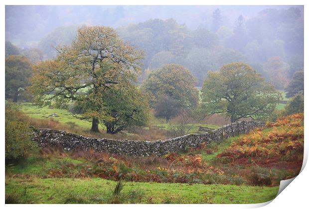 Cumbrian Landscape Print by Ceri Jones
