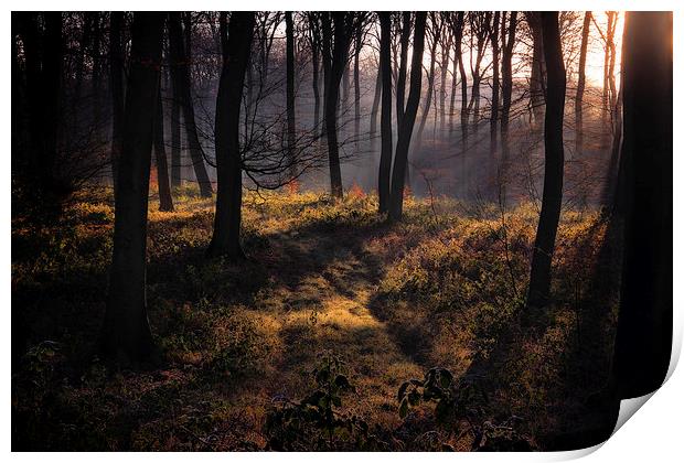 Winter Woodland Mist Print by Ceri Jones