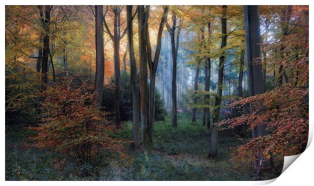 Early Autumn Morning Print by Ceri Jones