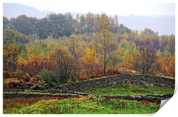 Autumn Lake District scene Print by Ceri Jones