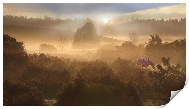 New Forest Dawn Print by Ceri Jones