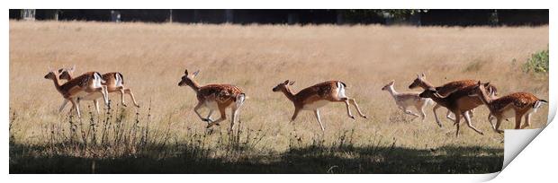 Red Deer on the Hoof Print by Ceri Jones