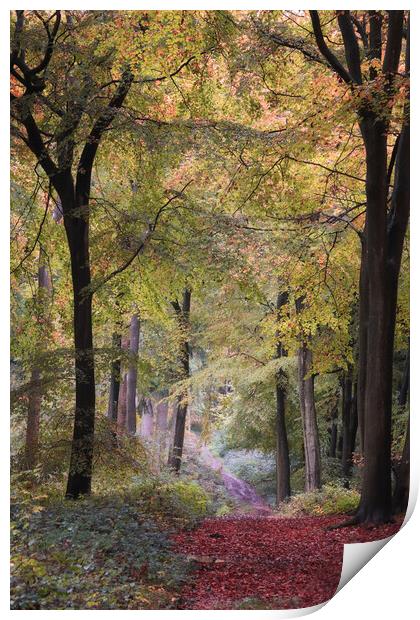 Autumn Bridleway Print by Ceri Jones