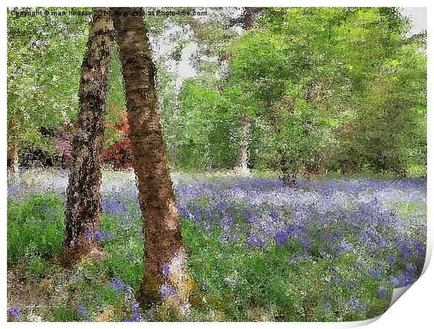 bluebell woods painting Print by mark lindsay