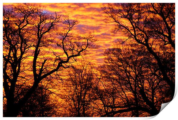 Morning Sky Print by Stuart Gerrett