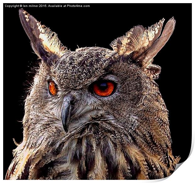EURASIAN EAGLE OWL  Print by len milner