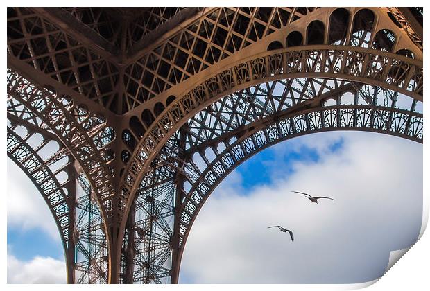 Birds under the Eiffel Tower Print by Eric Fouwels