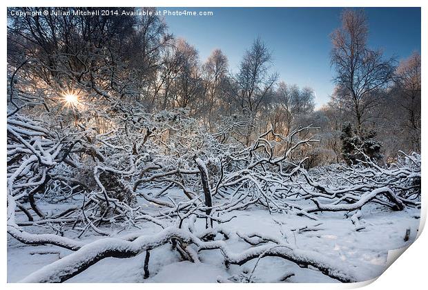Snowy Woods Print by Julian Mitchell