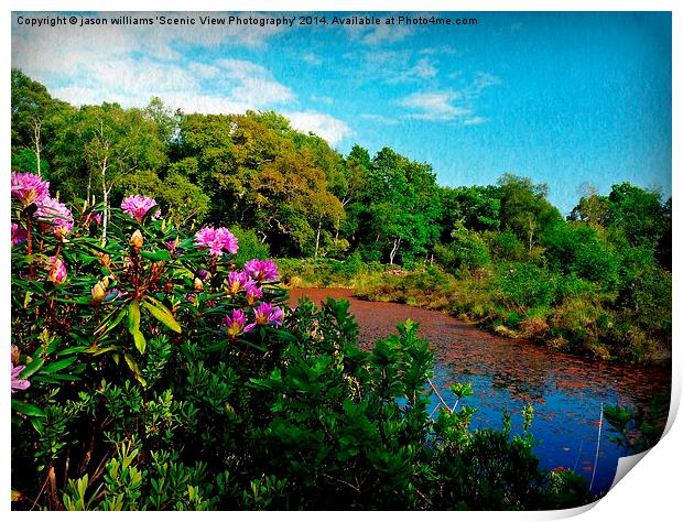 Tranquillity Lake Print by Jason Williams