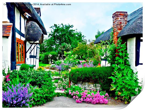  Cottage gardens in bloom.. Print by Jason Williams