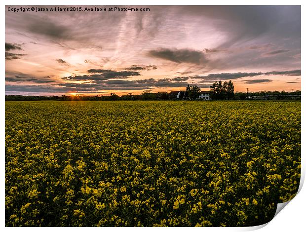 Sunset over Rapeseed.  Print by Jason Williams