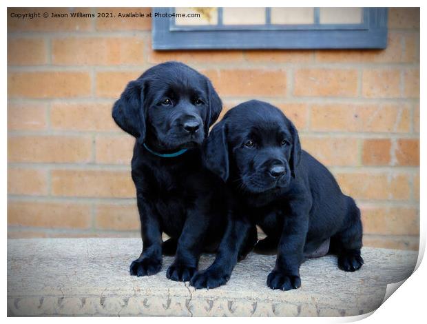 Puppies on bench Print by Jason Williams