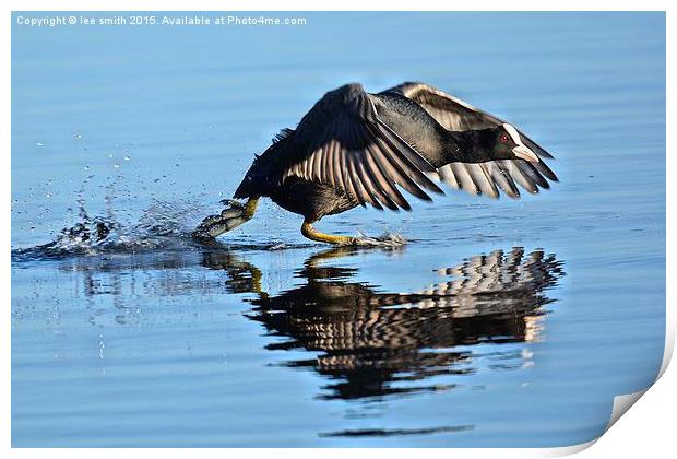  water runner  Print by lee smith