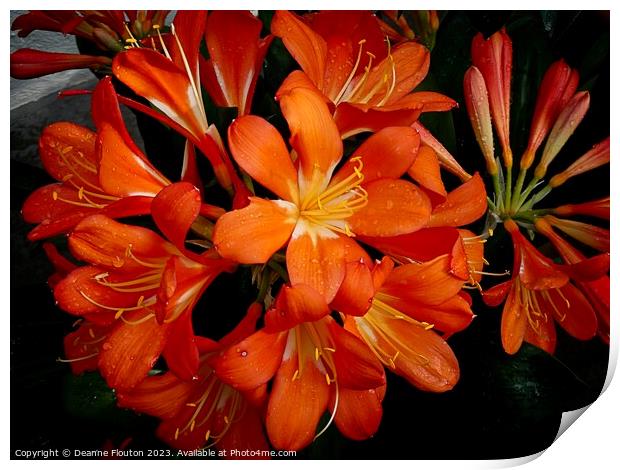 Vivid Orange Beauty Print by Deanne Flouton