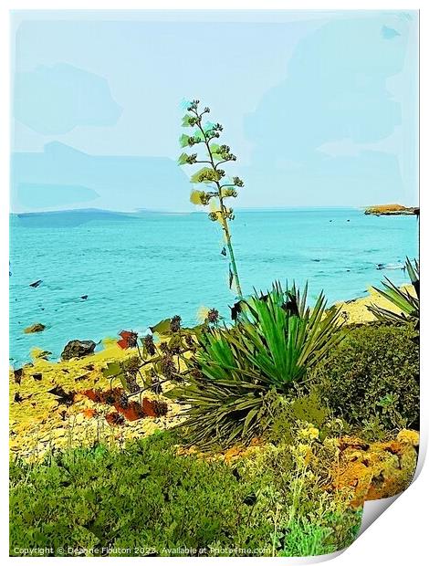 Aloe Plant on Santo Tomas Shore in Menorca Print by Deanne Flouton
