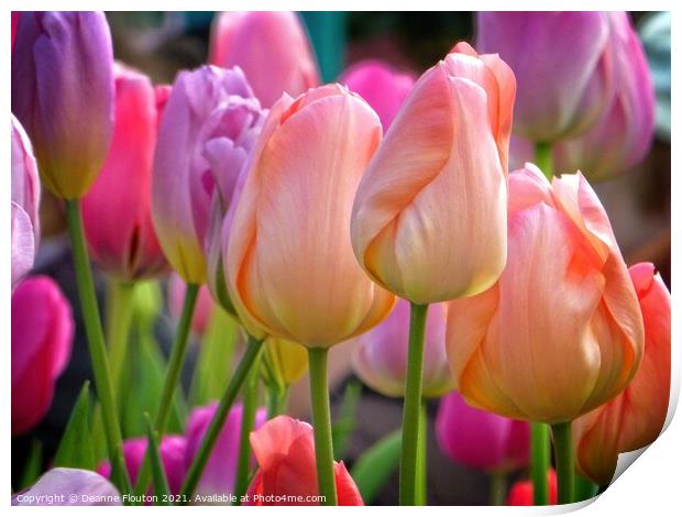 Pastel Tulip Bouquet Print by Deanne Flouton