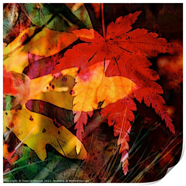 Autumns Fiery Canvas Print by Deanne Flouton