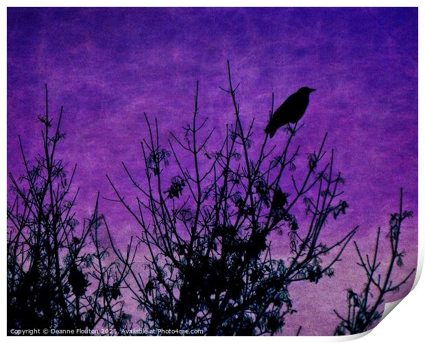  Raven Surveying Purple Sky Print by Deanne Flouton