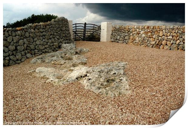 Stone walls and Wooden Gate of Menorca Print by Deanne Flouton