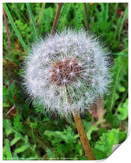 Ethereal Dandelion Print by Deanne Flouton