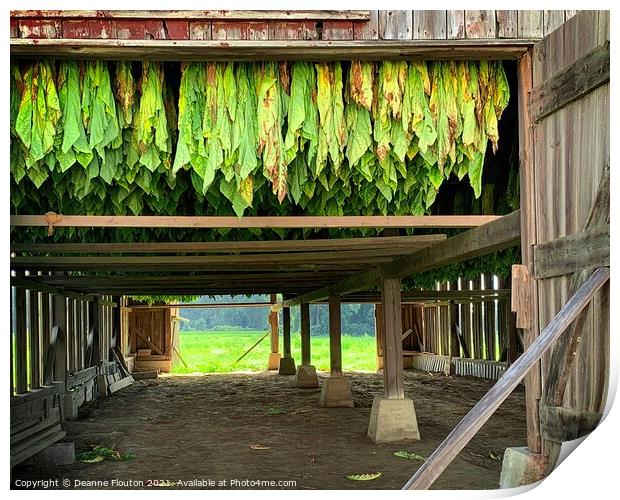 The Essence of Tobacco Farming Print by Deanne Flouton