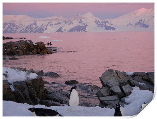 Dusk on the Antarctic Peninsula. Print by Richard Simpson