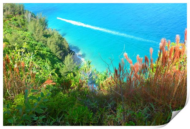 Looking down on a secluded beach Print by Muriel Lambolez