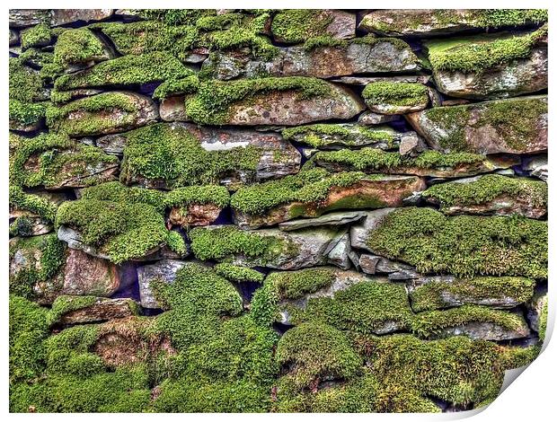Dry Stone Wall Print by Andy Huntley