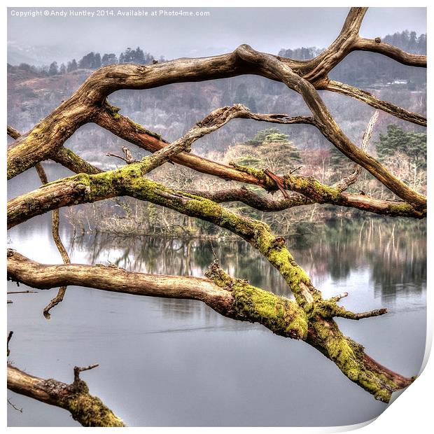 Branches over Lake Print by Andy Huntley