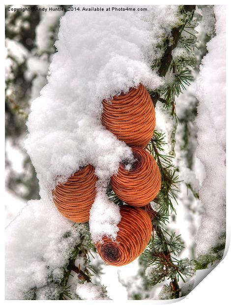 Snow Cones Print by Andy Huntley