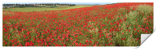 Poppy Panorama Print by Andy Huntley