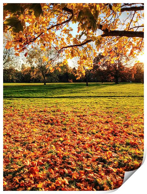 Autumn in the Park Print by Andy Huntley