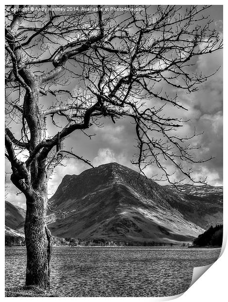 Tree by Lake Print by Andy Huntley