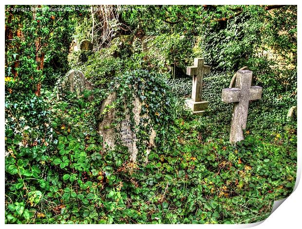 Overgrown Graveyard Print by Andy Huntley