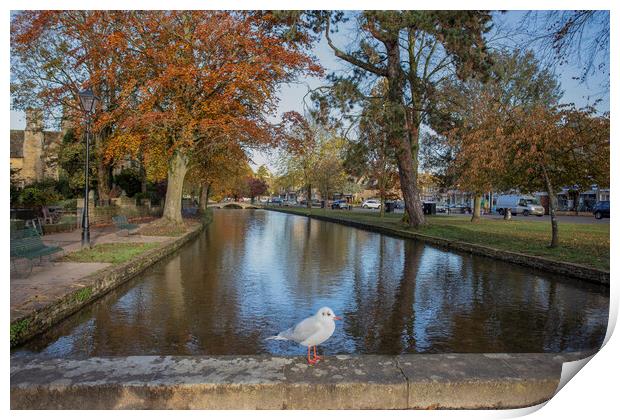 Bourton-on-the-Water Print by Alan Tunnicliffe