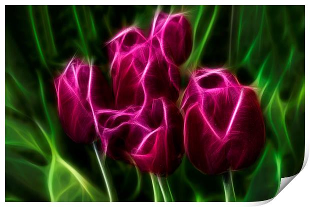 Tulips Print by Alan Tunnicliffe