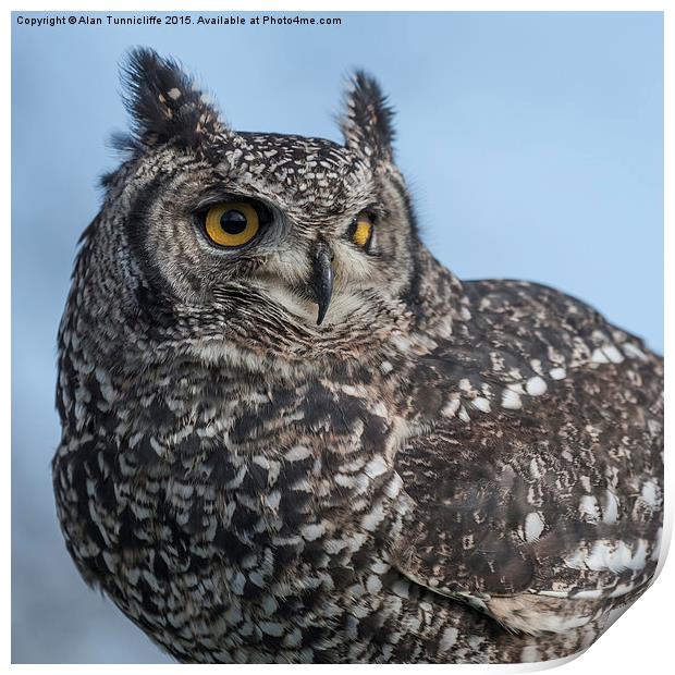  Eagle Owl Print by Alan Tunnicliffe