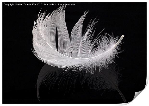  White feather Print by Alan Tunnicliffe