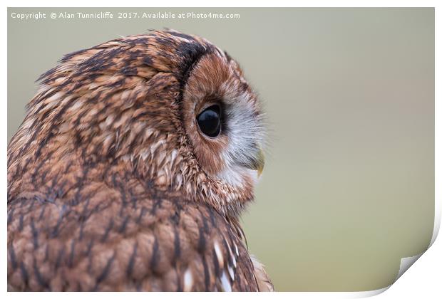 Tawny owl Print by Alan Tunnicliffe