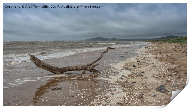 Driftwood on a deserted beach Print by Alan Tunnicliffe