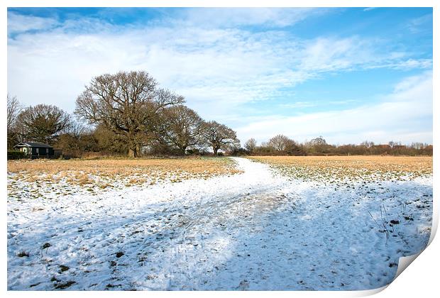 Snow covered field Print by Susan Sanger